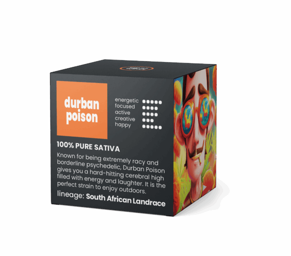 Durban_Poison_Back.png Durban Poison